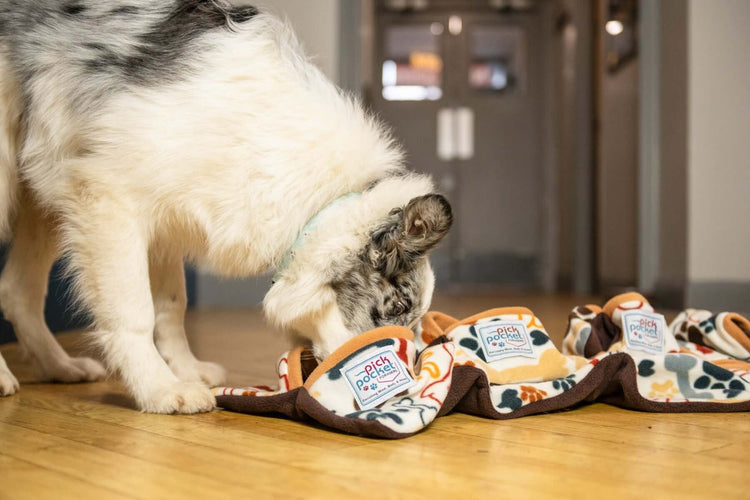 “We might notice if our coffee’s been sweetened with a teaspoon of sugar; a dog can detect a teaspoon of sugar in a million gallons of water: two Olympic-sized pools full.” Alexandra Horowitz: The Inside of a Dog: What Dogs See, Smell and Know Regular opp