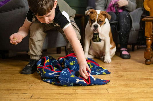 PickPocket Foragers are fully washable/tumble dryable fleece feeders in which dogs hunt for treats inside pockets. They are simple to use, easy to launder and bring all the benefits of foraging into your dog’s home. The PickPocket foraging kit includes a