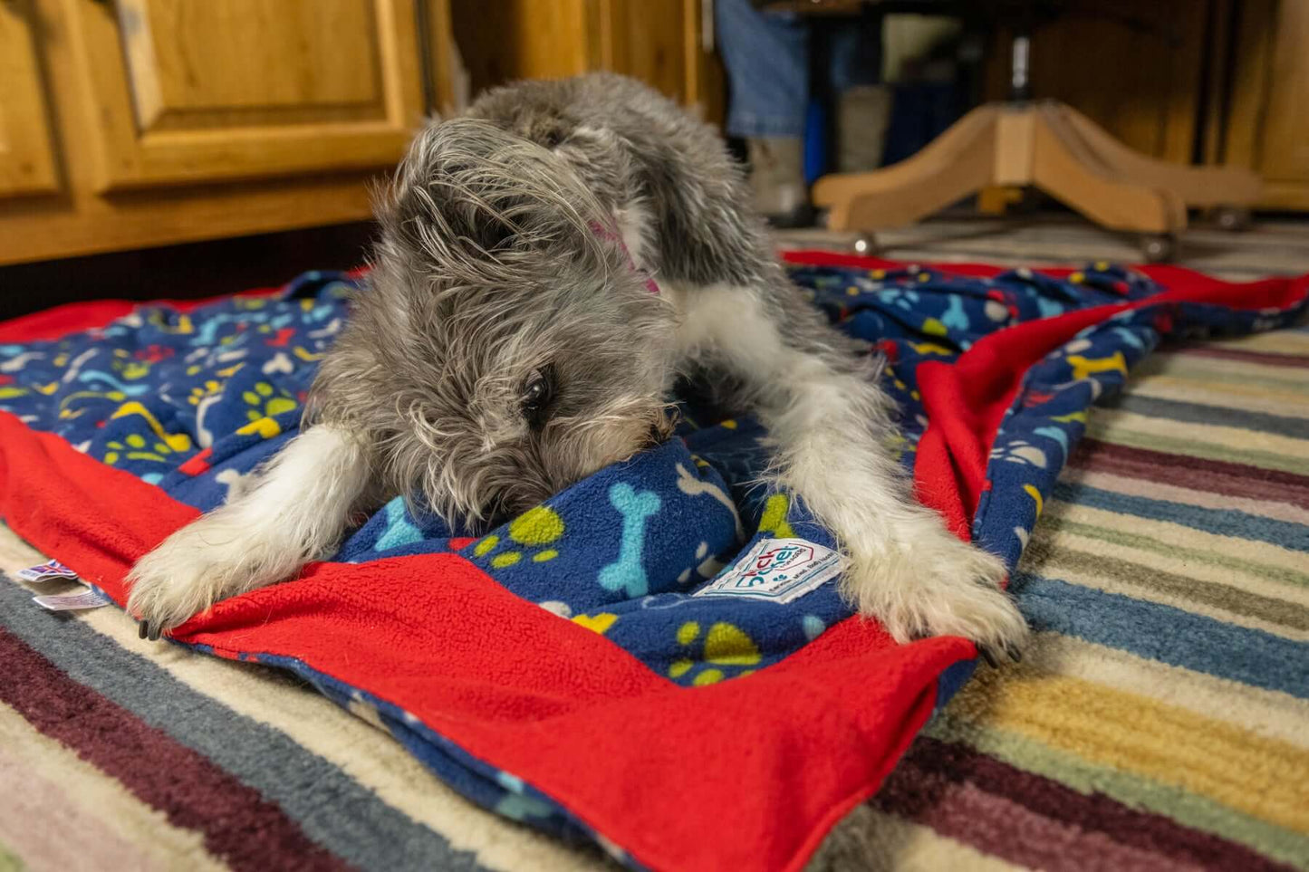 Our PickPocket foraging blanket lies flat on the floor and has sixty pockets perpendicular to each other for your dog to search in for treats. It can also double up as your dog’s dinner bowl and also a bed! The blanket offers a gentle non-stress foraging