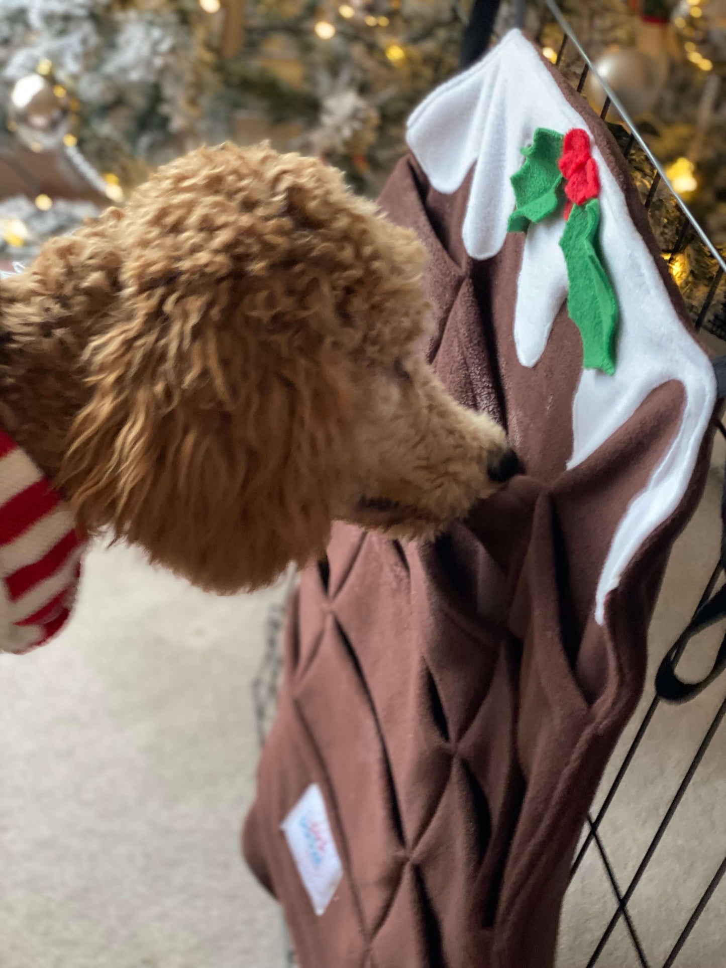NOTE: THESE FORAGERS ARE NOT SUITABLE FOR GIANT BREEDS. PLEASE CONTACT US AT KATE@PICKPOCKETFORAGERS.COM IF YOU HAVE A BRACHYCEPHALIC (FLAT FACED) BREED PickPocket Foragers are fully washable/tumble dryable fleece feeders in which dogs hunt for treats ins
