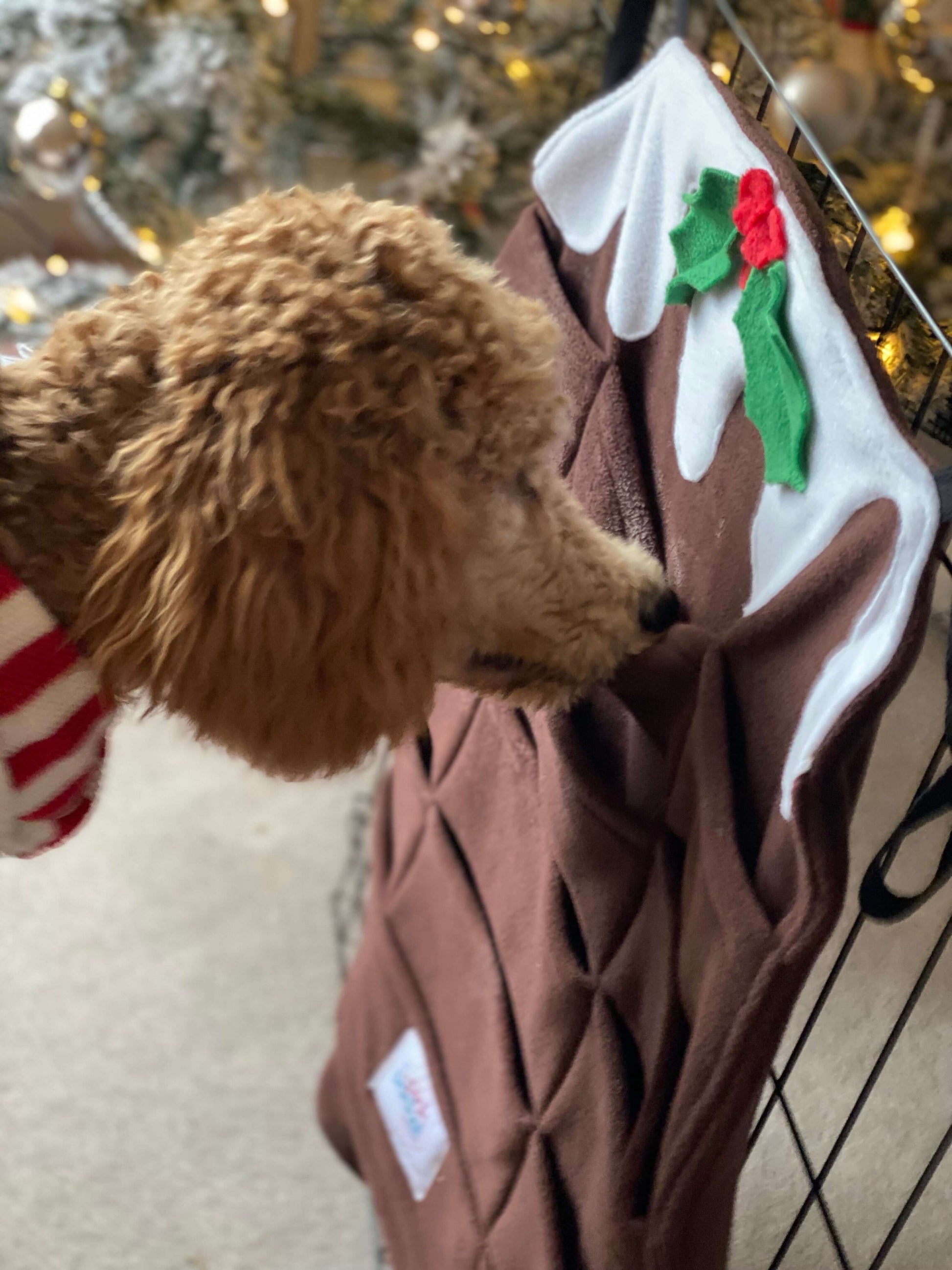 NOTE: THESE FORAGERS ARE NOT SUITABLE FOR GIANT BREEDS. PLEASE CONTACT US AT KATE@PICKPOCKETFORAGERS.COM IF YOU HAVE A BRACHYCEPHALIC (FLAT FACED) BREED PickPocket Foragers are fully washable/tumble dryable fleece feeders in which dogs hunt for treats ins