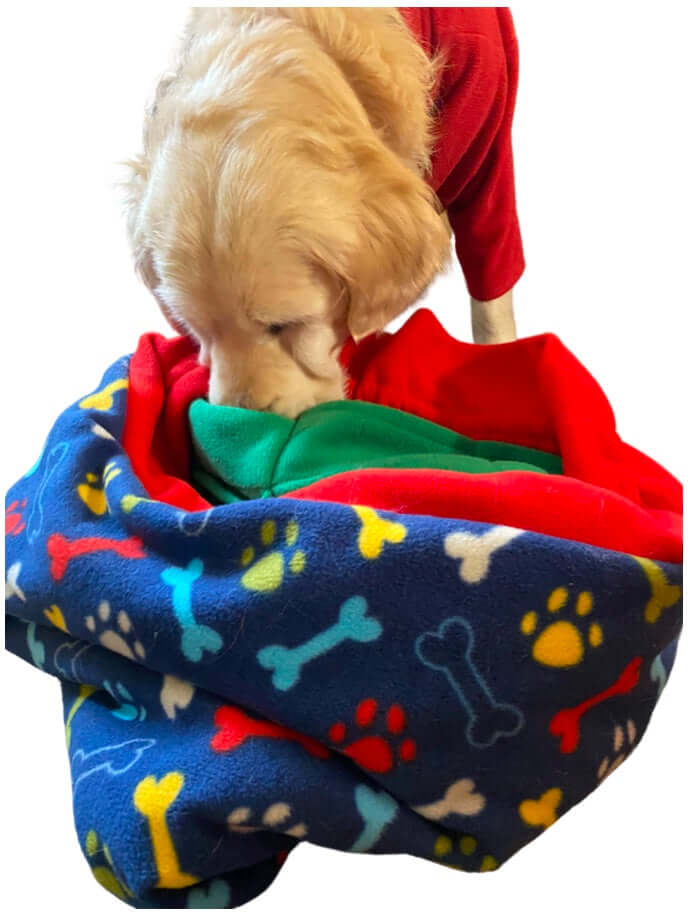 PickPocket Foraging Bundle: Bag, Caterpillar & 3 Pouch set LEAD TIME FOR FORAGING BUNDLES IS 7 - 10 DAYS