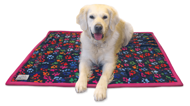 Our PickPocket foraging blanket lies flat on the floor and has sixty pockets perpendicular to each other for your dog to search in for treats. It can also double up as your dog’s dinner bowl and also a bed! The blanket offers a gentle non-stress foraging