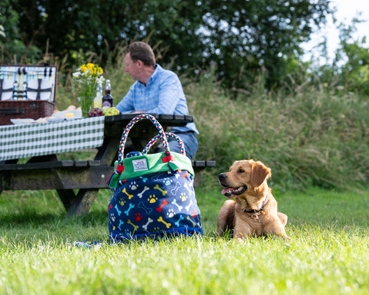 Picnic Foraging Bag (buy handles separately)