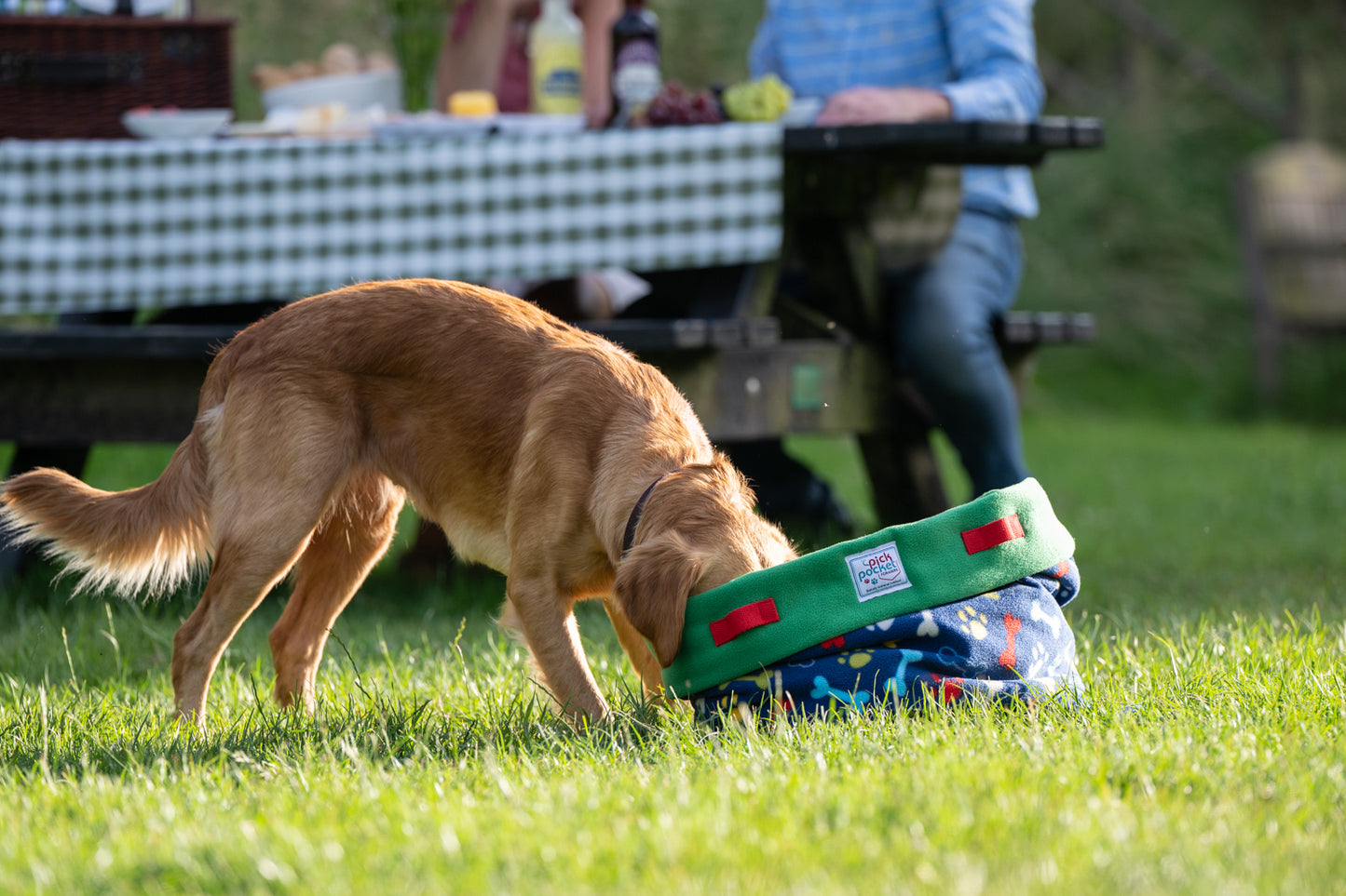 Picnic Foraging Bag (buy handles separately)