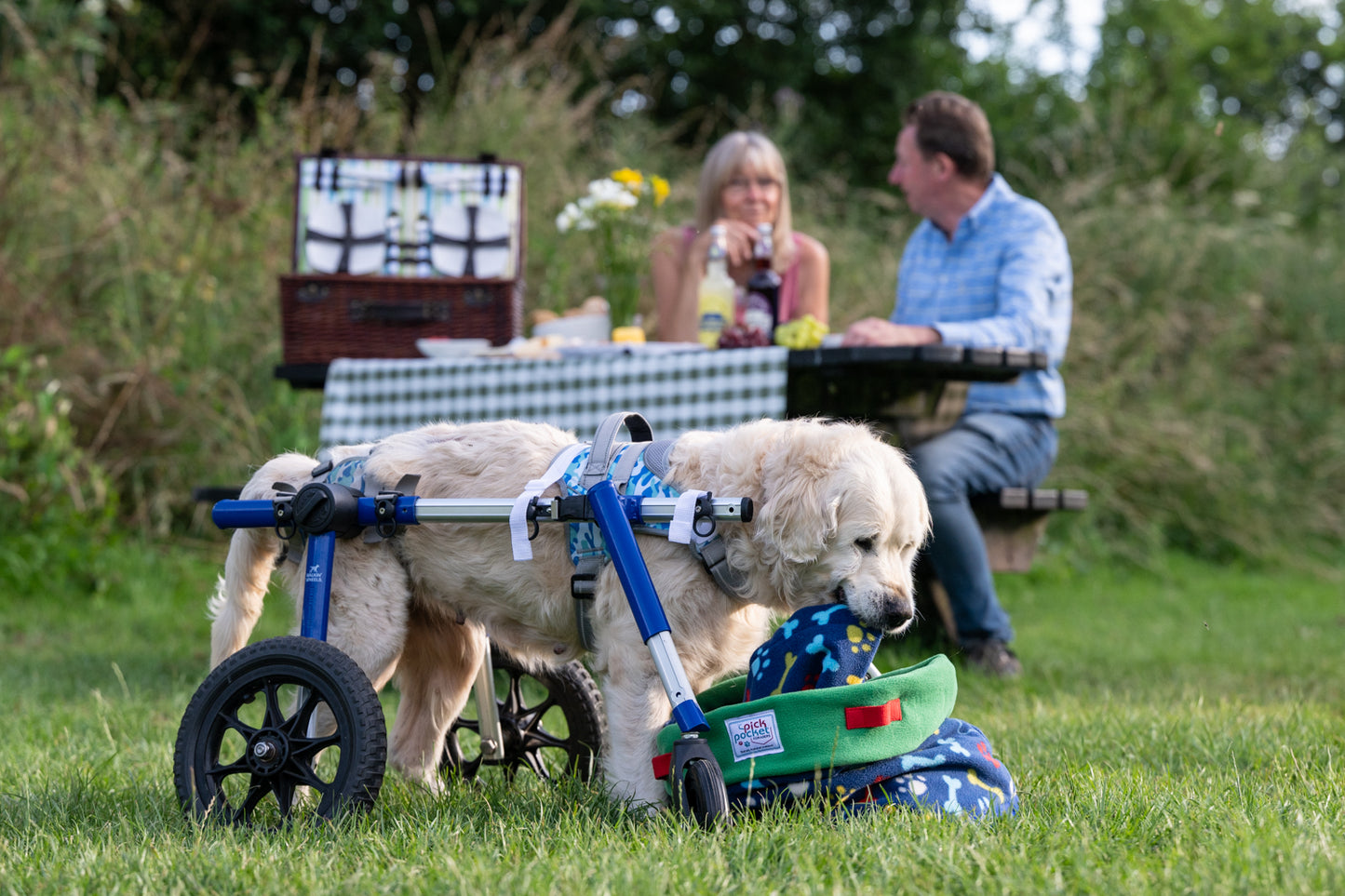 Picnic Foraging Bag (buy handles separately)