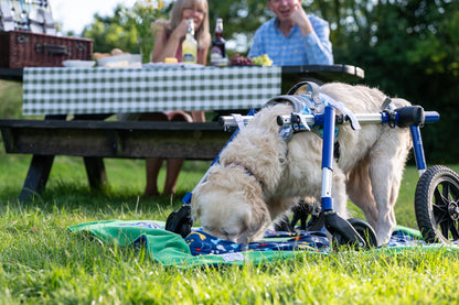 Picnic blanket