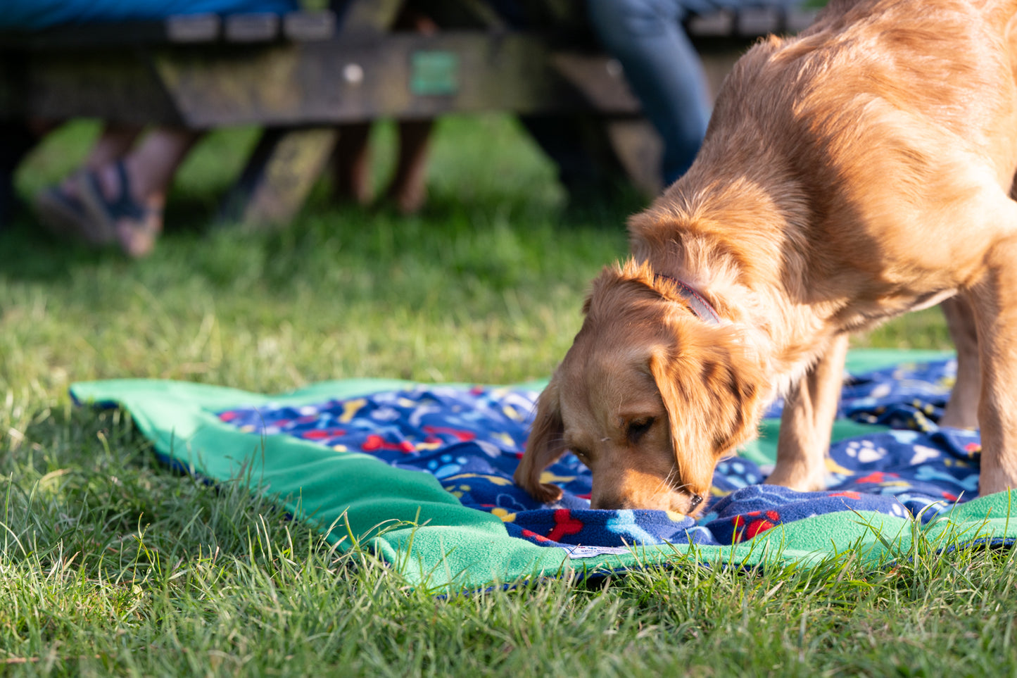 Picnic blanket