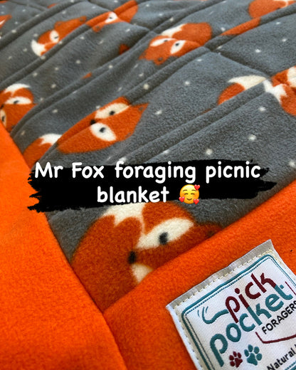 Picnic foraging blanket