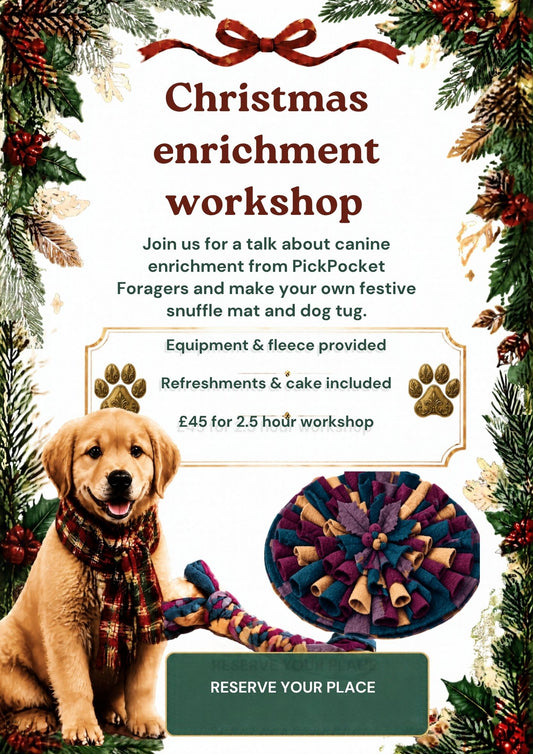 Enrichment workshops
