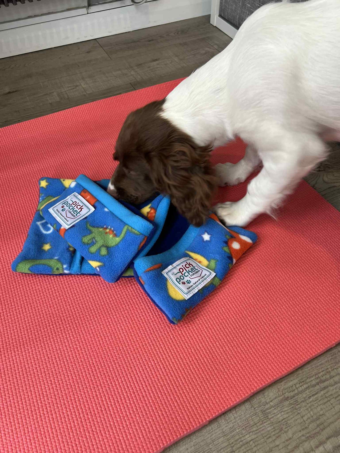 PickPocket Small Foraging Pouches  Set of 3 (20cm x 20cm)